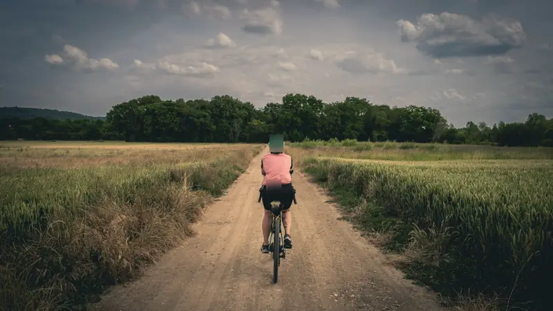 Una persona in bicicletta, di spalle, su una strada bianca tra i campi di grano verso il bosco.