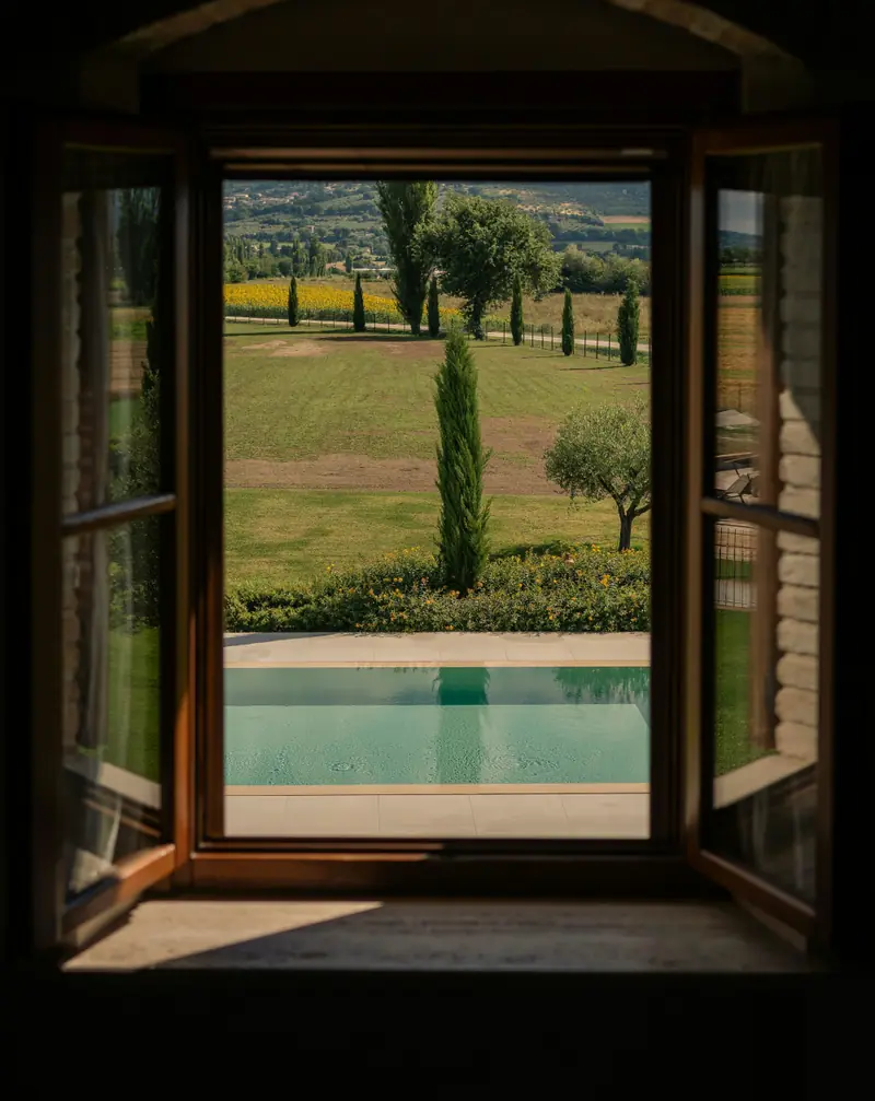 Una finestra aperta su un prato con un cipresso e, sotto, l'acqua della piscina.