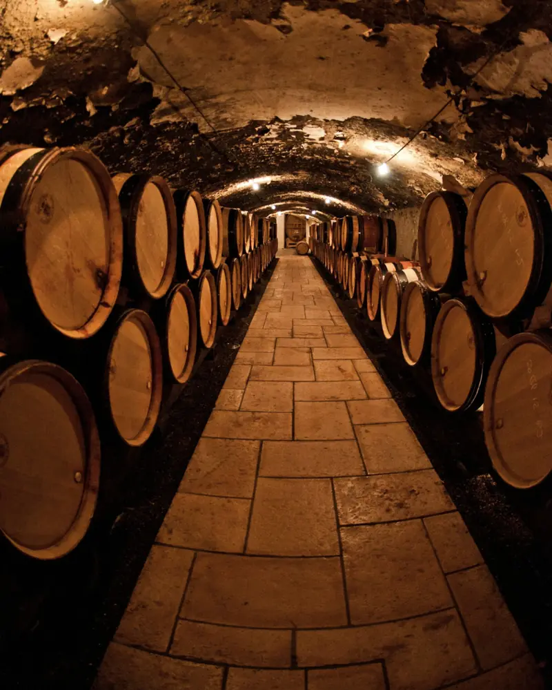 Galleria della cantina con le botti allineate ai lati