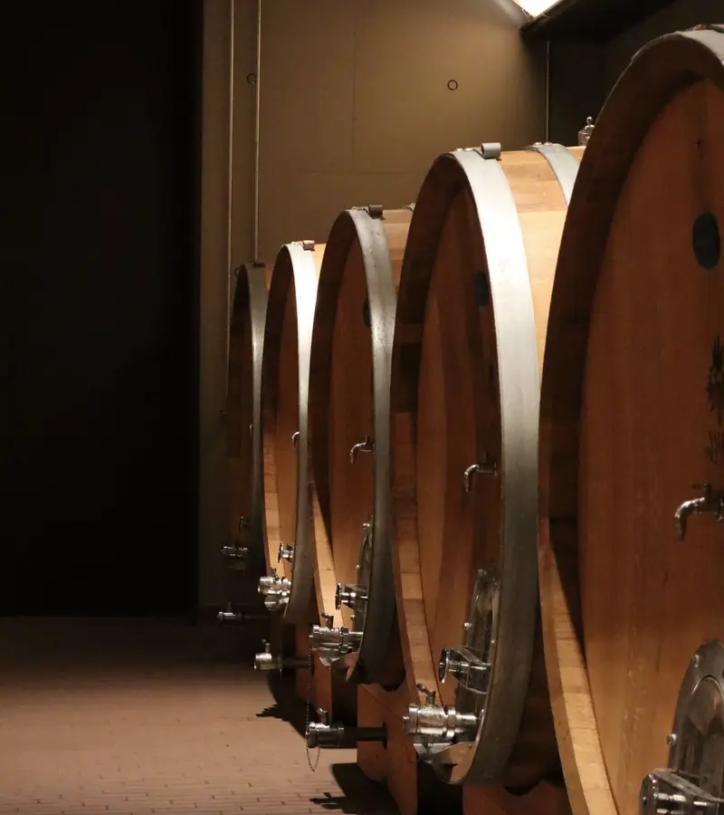 Botti grandi di rovere allineate nella cantina