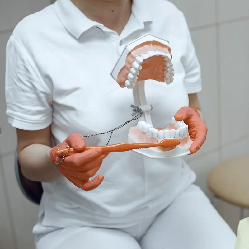 Mani guantate mostrano con un modello dell'arcata e uno spazzolino come lavare i denti.